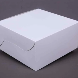 White Cake Box 1kg  ("10x10x5") white